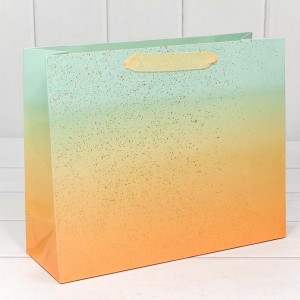 Пакет подарочный