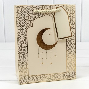 Пакет подарочный