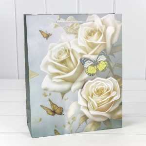 Пакет подарочный       