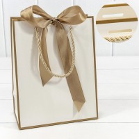 Пакет подарочный      