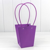 Пакет подарочный       