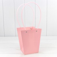 Пакет подарочный         