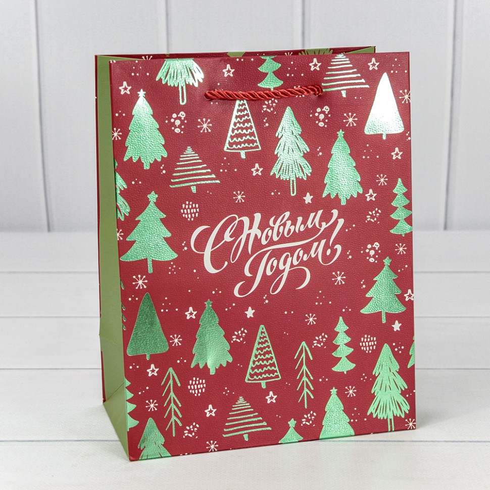 Пакет подарочный Пакет подарочный