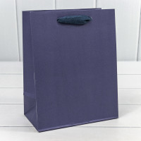 Пакет подарочный  