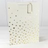 Пакет подарочный Пакет подарочный