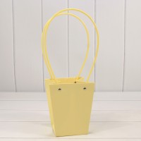 Пакет подарочный    