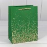 Пакет подарочный Пакет подарочный