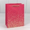 Пакет подарочный Пакет подарочный
