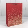 Пакет подарочный Пакет подарочный