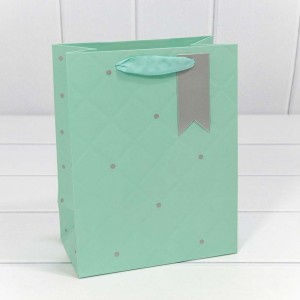 Пакет подарочный