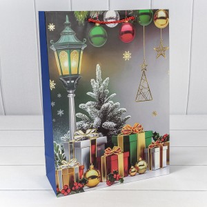 Пакет подарочный  