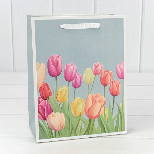 Пакет подарочный   