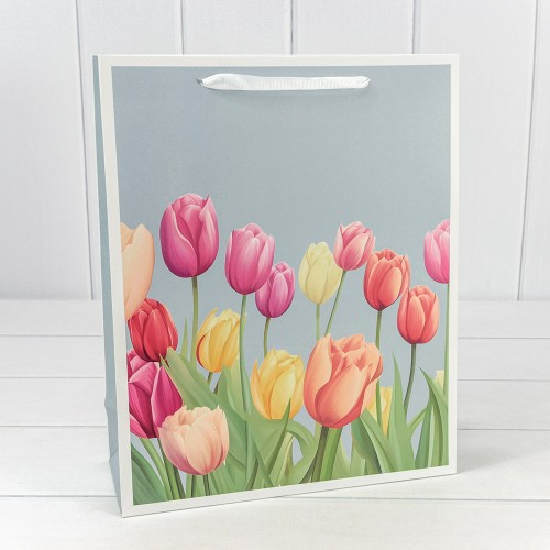 Пакет подарочный   