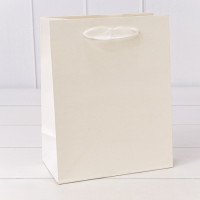 Пакет подарочный  