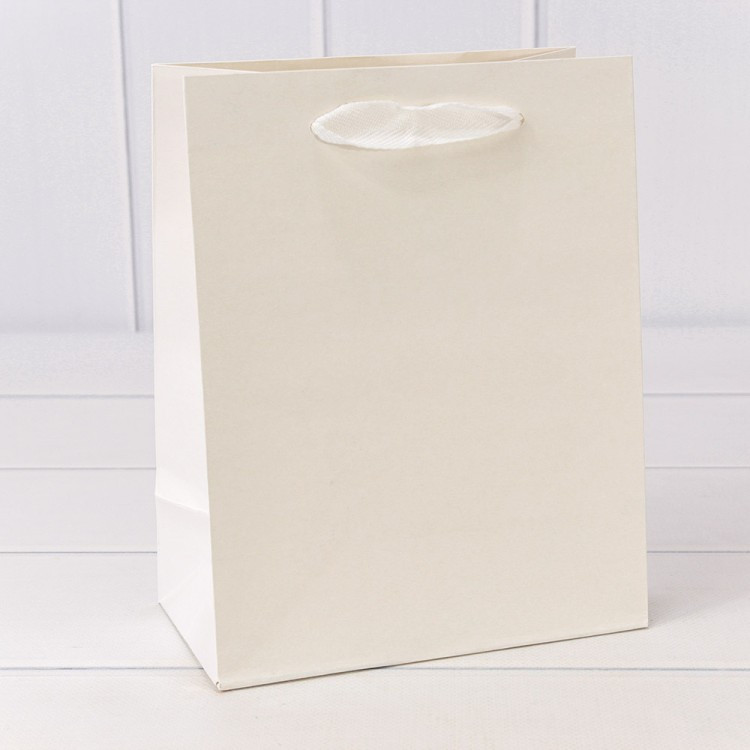 Пакет подарочный Пакет подарочный