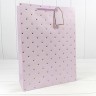 Пакет подарочный Пакет подарочный