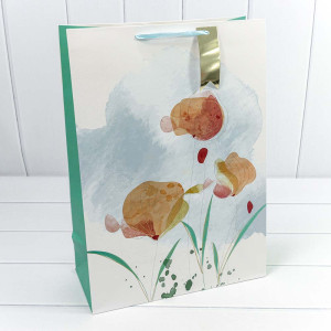 Пакет подарочный  