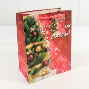 Пакет подарочный