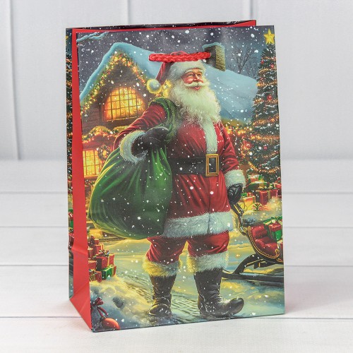 Пакет подарочный