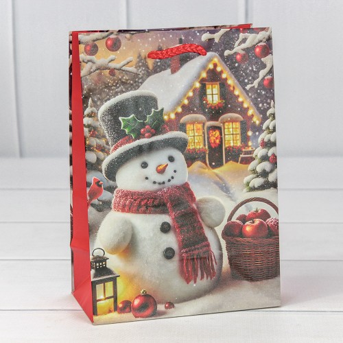 Пакет подарочный