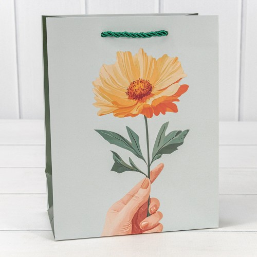 Пакет подарочный    