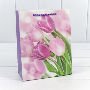 Пакет подарочный  