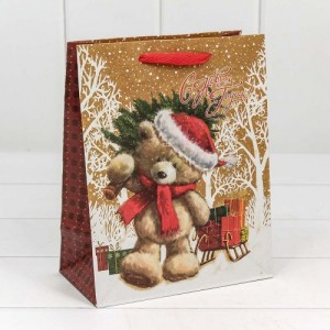 Пакет подарочный 