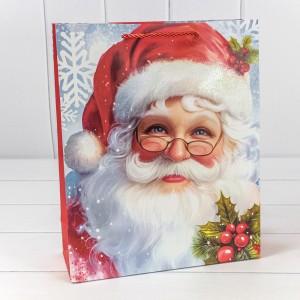 Пакет подарочный    