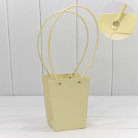 Пакет подарочный 