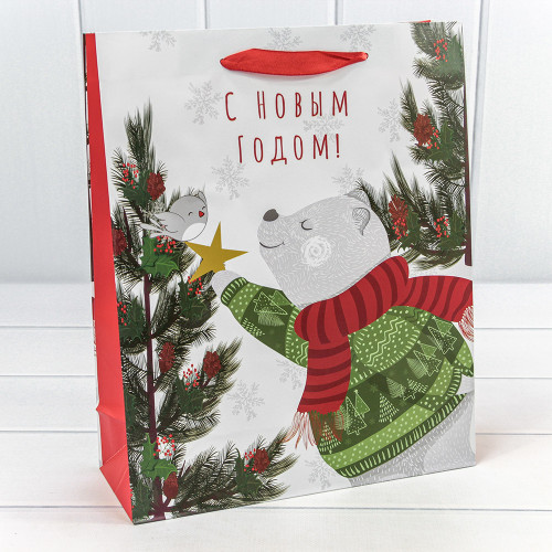 Пакет подарочный   