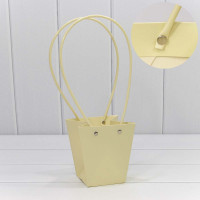 Пакет подарочный 