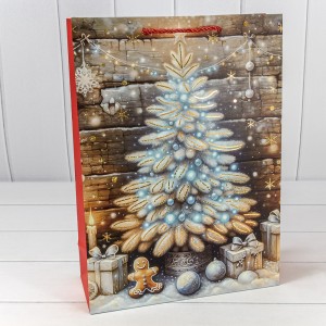 Пакет подарочный    