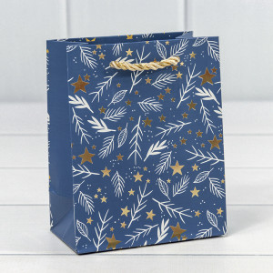 Пакет подарочный 