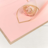 Плёнка в листах   