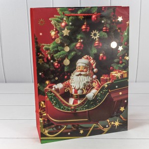 Пакет подарочный    