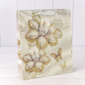 Пакет подарочный 