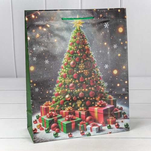 Пакет подарочный