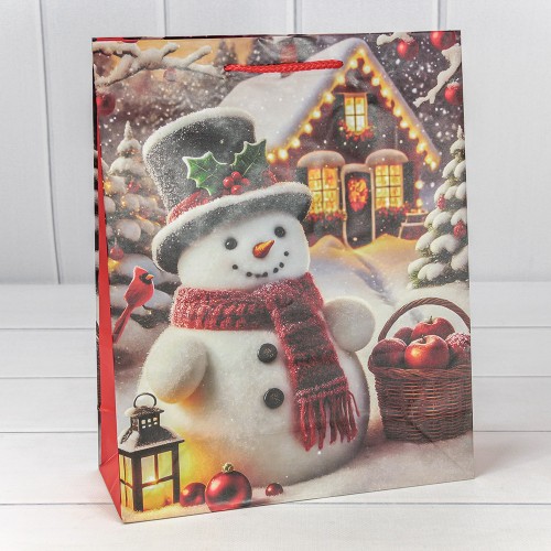 Пакет подарочный