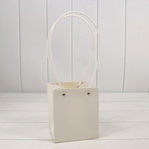 Пакет подарочный      