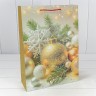 Пакет подарочный Пакет подарочный