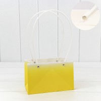 Пакет подарочный        