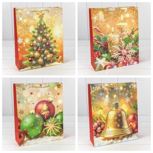 Пакет подарочный    