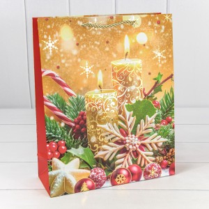 Пакет подарочный    