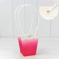 Пакет подарочный     