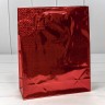 Пакет подарочный Пакет подарочный