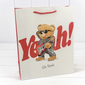 Пакет подарочный