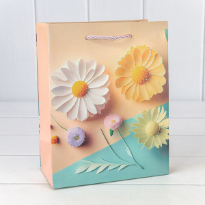 Пакет подарочный   